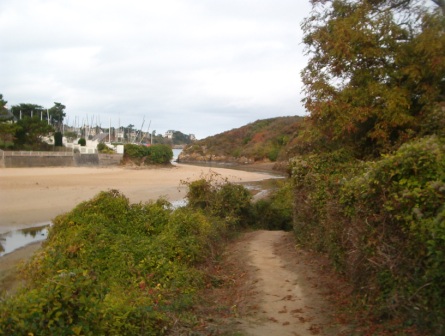 Sur le chemin de la plage  200m des maisons de 
      vacances